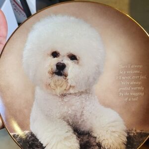 Decorative Plate with Bichon Frise Design